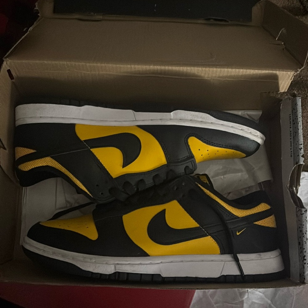 Barely used Nike dunks